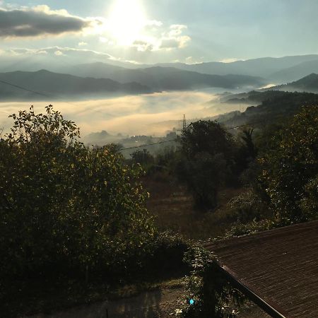 Il Mugello B&B Викио Екстериор снимка