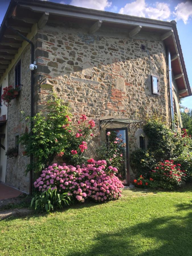 Il Mugello B&B Викио Екстериор снимка