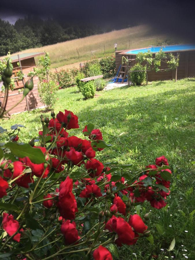 Il Mugello B&B Викио Екстериор снимка