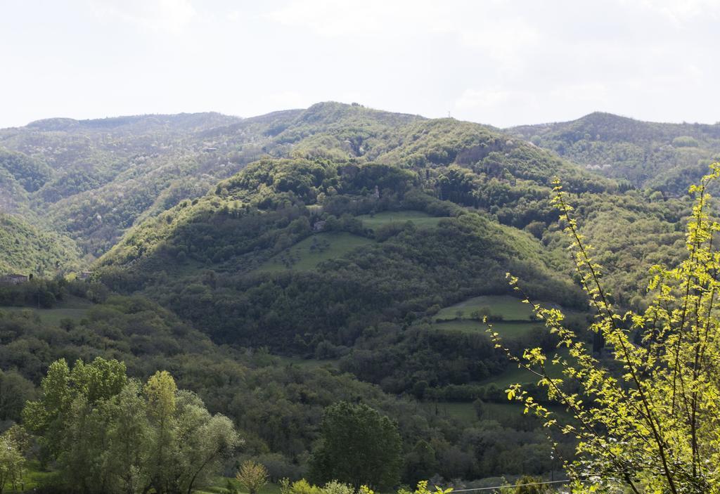 Il Mugello B&B Викио Екстериор снимка