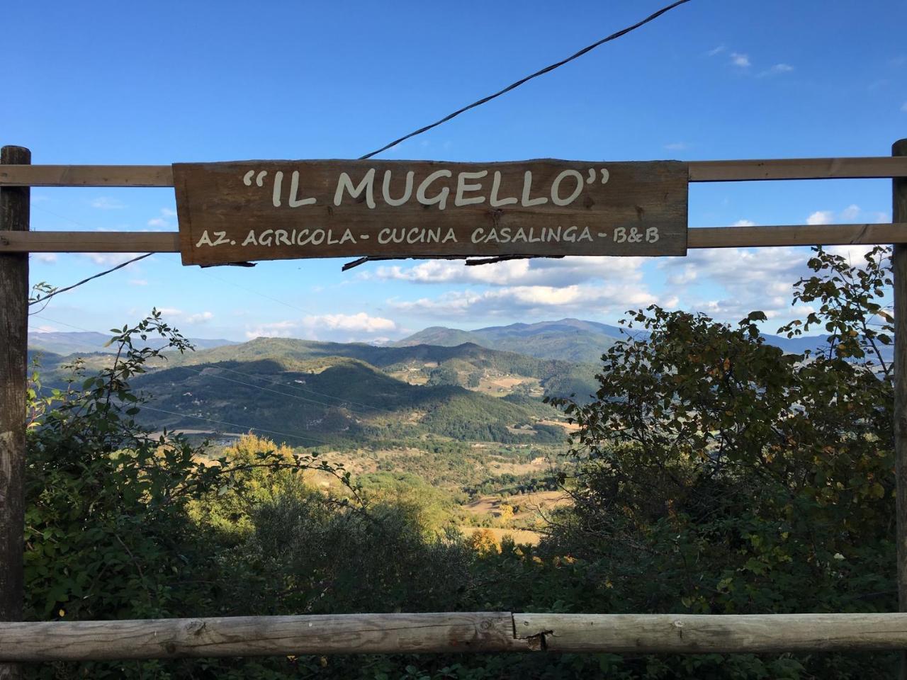 Il Mugello B&B Викио Екстериор снимка