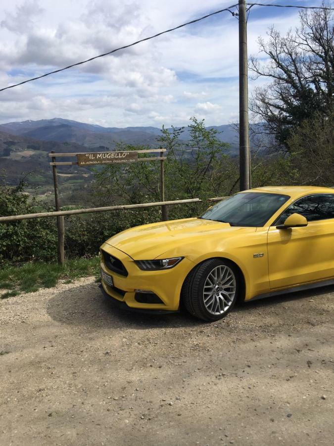 Il Mugello B&B Викио Екстериор снимка