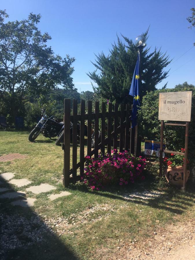 Il Mugello B&B Викио Екстериор снимка